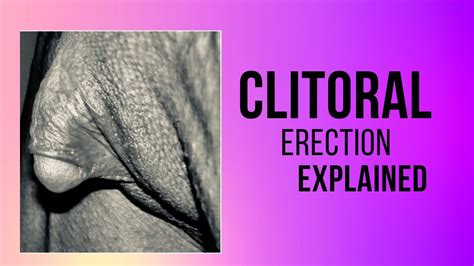 clitor erection|Clitoral erection .